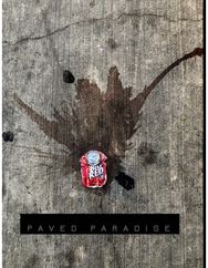 Paved Paradise: a look at what is left behind a look at what is left behind