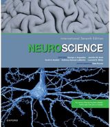 Neuroscience