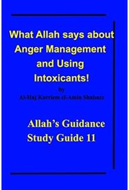 What Allah says about Anger Management and Using Intoxicants!: Allah's Guidance Study Guide 11 Study Guide 11