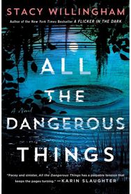 All the Dangerous Things: A Novel A Novel