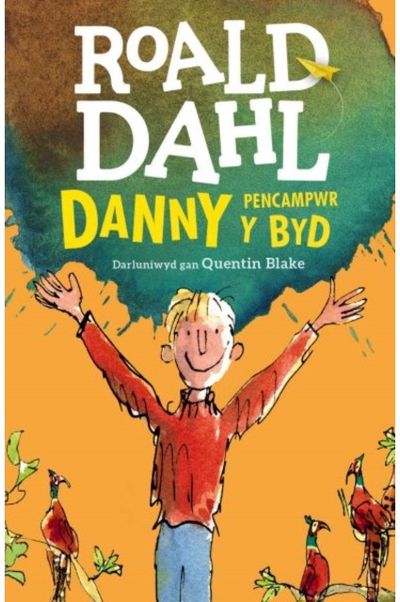 Danny Pencampwr y