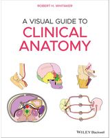 Visual Guide to