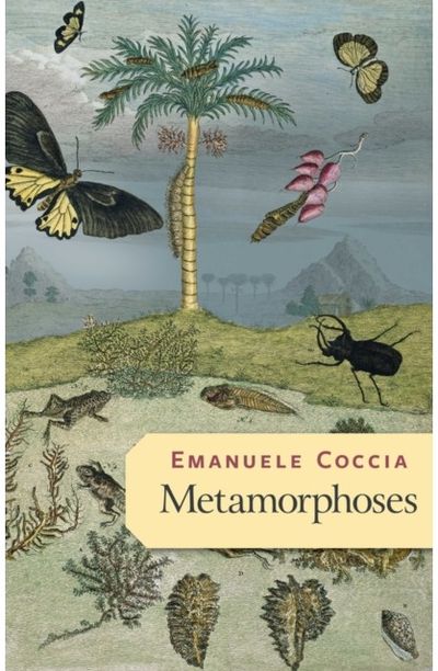 Metamorphoses