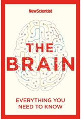 Brain Everything You Need