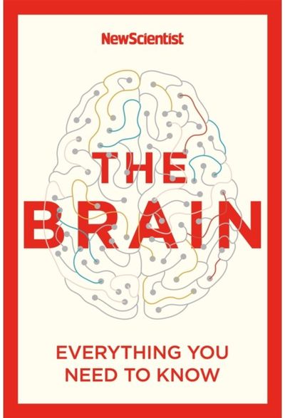 Brain Everything You Need