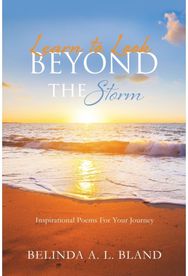 Learn to Look Beyond The Storm