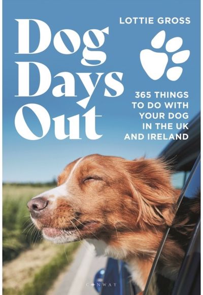Dog Days Out 365 things to do