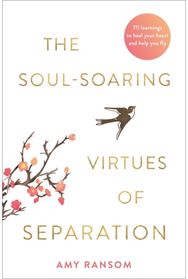 Soul-Soaring Virtues of Separation: 111 Learnings to Heal Your Heart and Help You Fly Heal Your Heart and Help You Fly