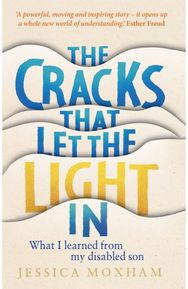 Cracks that Let the Light In: What I learned from my disabled son What I learned from my disabled son
