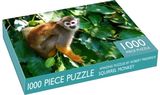 Costa Rica Monkey