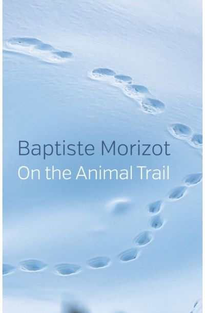 On the Animal Trail