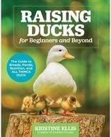 Raising Ducks for The Guide to Breeds,