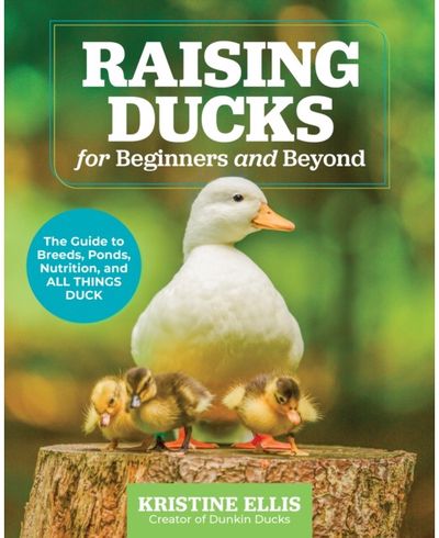 Raising Ducks for The Guide to Breeds,