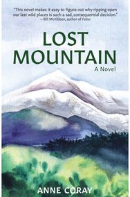 Lost Mountain A Novel
