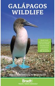 Galapagos Wildlife