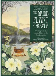 Druid Plant Oracle Working with the magical flora of the Druid tradition