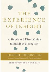 Experience of Insight A Simple and Direct Guide to Buddhist Meditation