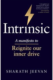 Intrinsic A manifesto to reignite our inner drive