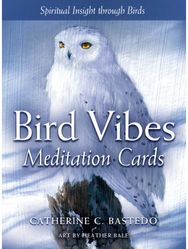 Bird Vibes Meditation Cards: Spiritual Insight Through Birds Spiritual Insight Through Birds