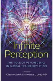 Infinite Perception: The Role of Psychedelics in Global Transformation The Role of Psychedelics in Global Transformation