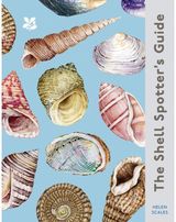 Shell Spotter’s