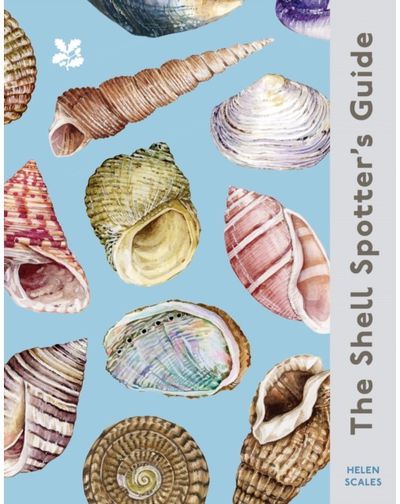 Shell Spotter’s