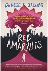 Red Amaryllis