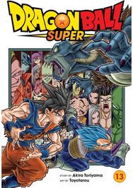 Dragon Ball Super, Vol. 13
