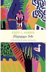 Mississippi Solo A John Murray