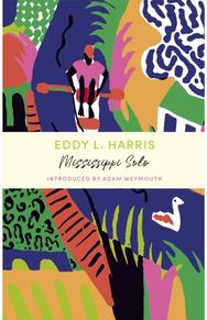 Mississippi Solo: A John Murray Journey A John Murray Journey
