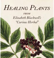 Healing Plants: From Elizabeth Blackwell's "Curious Herbal" From Elizabeth Blackwell's "Curious Herbal"