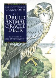 Druid Animal Deck