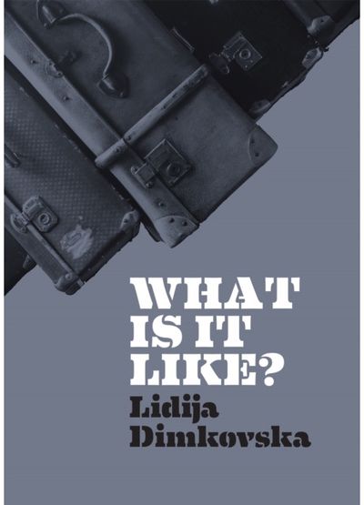 What Is It Like?