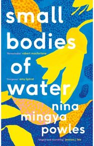 Small Bodies of Water