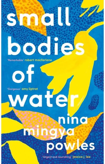 Small Bodies of