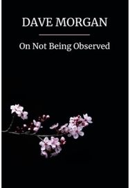 On Not Being Observed