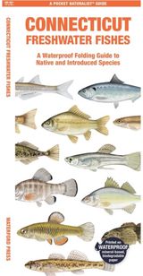 Connecticut A Folding Guide to