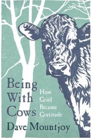 Being With Cows