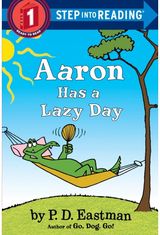 Aaron Has a Lazy Day