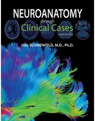 Neuroanatomy through Clinical Cases