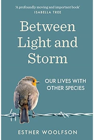 Between Light and Our Lives With Other