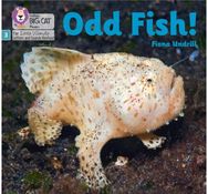 Odd Fish!: Phase 3 Set 1 Phase 3 Set 1