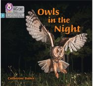 Owls in the Night: Phase 3 Set 2 Phase 3 Set 2