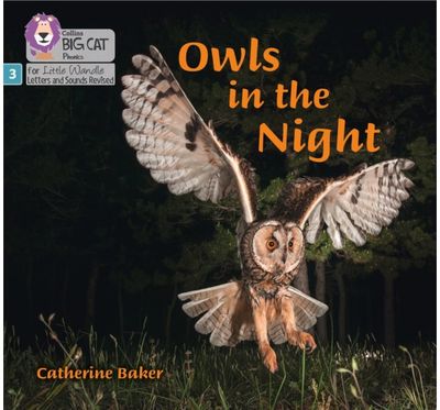 Owls in the Night Phase 3 Set 2