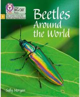 Beetles Around the Phase 5 Set 4