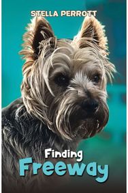 Finding Freeway