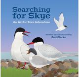 Searching For Skye An Arctic Tern Adventure