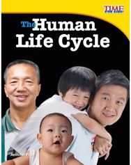 Human Life Cycle