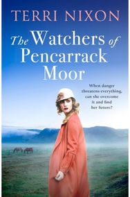 Watchers of Pencarrack Moor