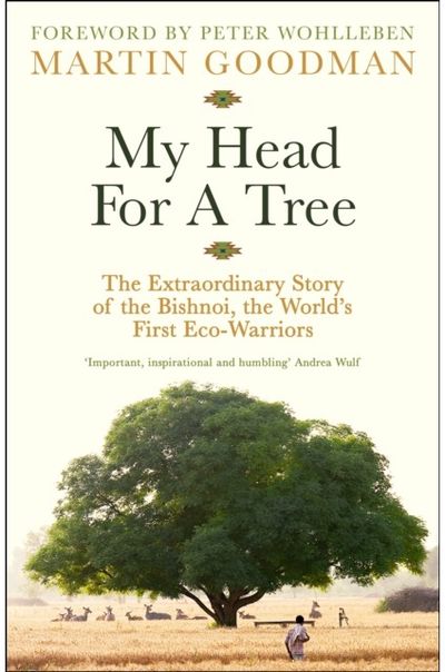 My Head For A Tree The Extraordinary